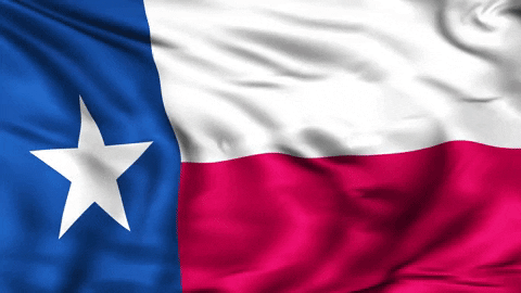 TexasFlag
